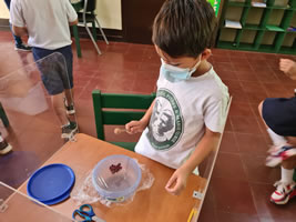 Grado 1, ciencias, experimentando con ondas de sonido y vibración