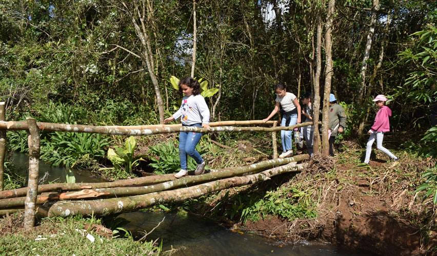 Campamento Ara Macao